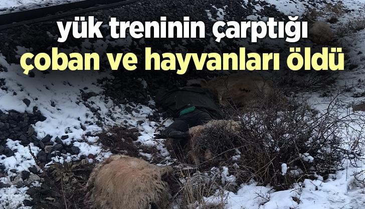 Yük Treninin Çarptığı Çoban Ve Hayvanları Öldü