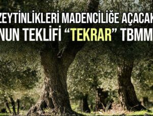 Zeytinlikleri Madenciliğe Açacak Kanun Teklifi “Tekrar” Tbmm’de