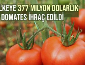 54 Ülkeye 377 Milyon Dolarlık Domates Ihraç Edildi