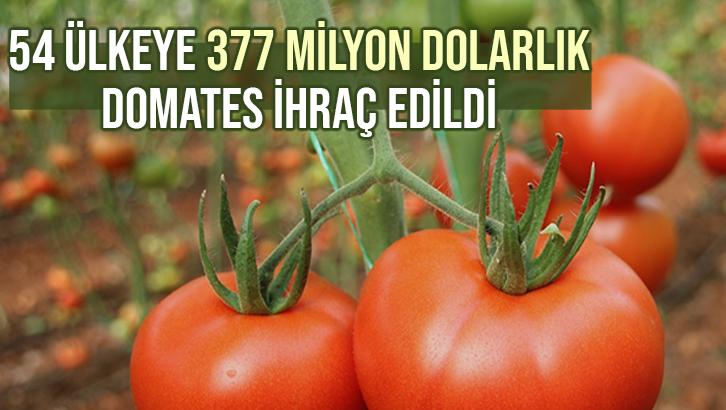 54 Ülkeye 377 Milyon Dolarlık Domates Ihraç Edildi