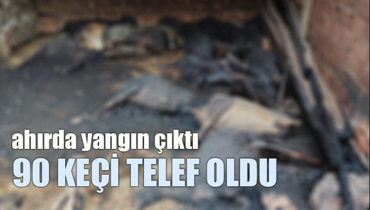 Ahırda Yangın Çıktı: 90 Keçi Telef Oldu