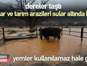 Dereler Taştı Ahırlar Ve Tarım Arazileri Sular Altında Kaldı