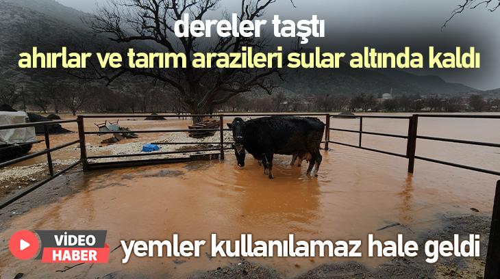 Dereler Taştı Ahırlar Ve Tarım Arazileri Sular Altında Kaldı