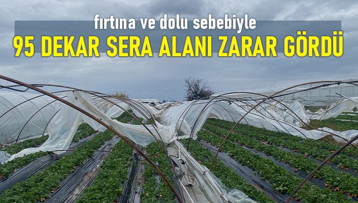 Fırtına Ve Dolu Sebebiyle 95 Dekar Sera Alanı Zarar Gördü