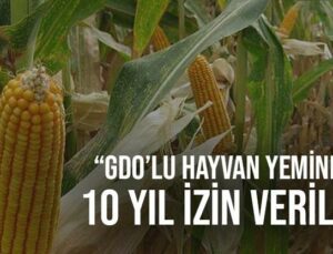 Gdo’Lu Hayvan Yemine 10 Yıl Izin Verildi