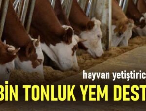 Hayvan Yetiştiricilerine 7 Bin Tonluk Yem Desteği