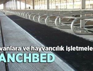 İşbir’Den Hayvanlara Ve Hayvancılık Işletmelerine: Ranchbed