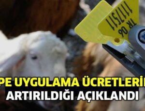 Küpe Uygulama Ücretlerinin Artırıldığı Açıklandı