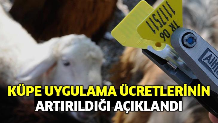 Küpe Uygulama Ücretlerinin Artırıldığı Açıklandı