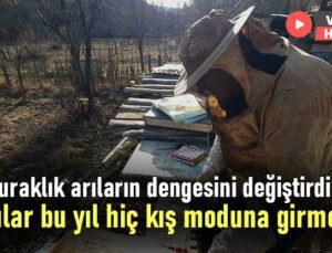 Kuraklık Arıların Dengesini Değiştirdi “Arılar Bu Yıl Hiç Kış Moduna Girmedi”