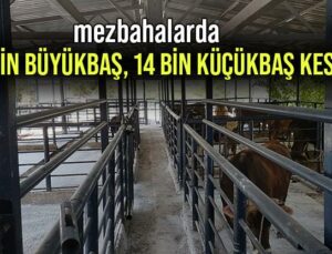 Mezbahalarda 17 Bin Büyükbaş Kesildi