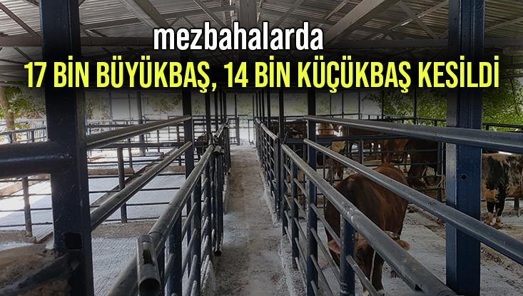 Mezbahalarda 17 Bin Büyükbaş Kesildi