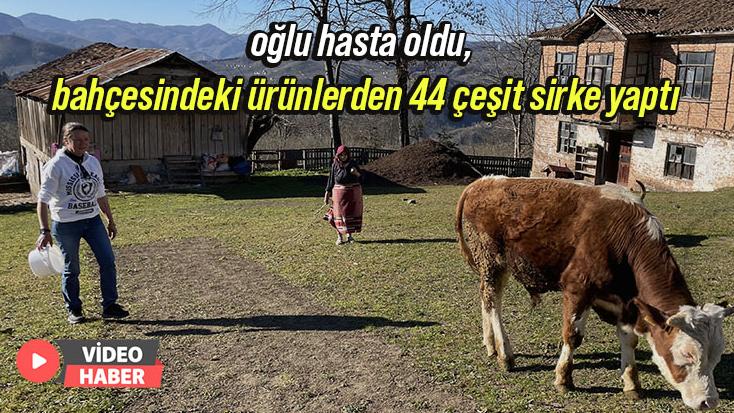 Oğlu Hasta Oldu, Bahçesindeki Ürünlerden 44 Çeşit Sirke Yaptı