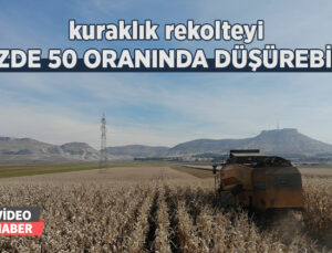 Kuraklık Rekolteyi Yüzde 50 Oranında Düşürebilir