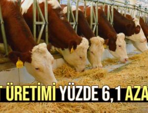 Süt Üretimi Yüzde 6,1 Azaldı