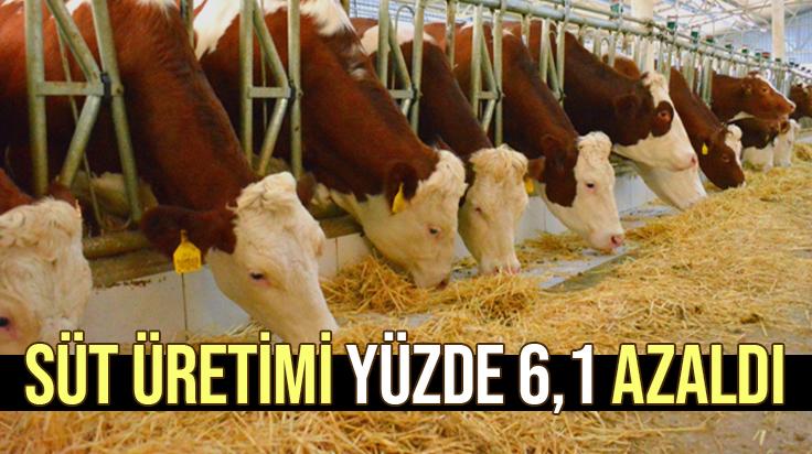 Süt Üretimi Yüzde 6,1 Azaldı