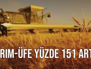 Tarım-Üfe Yüzde 151 Arttı