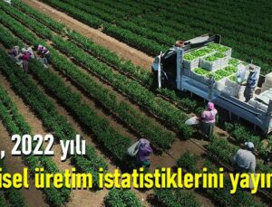 Tüi̇k, 2022 Yılı Bitkisel Üretim Istatistiklerini Yayınladı