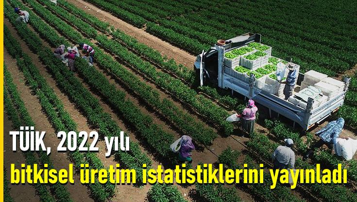 Tüi̇k, 2022 Yılı Bitkisel Üretim Istatistiklerini Yayınladı