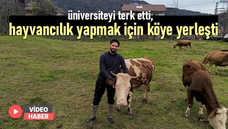 Üniversiteyi Terk Etti, Hayvancılık Yapmak Için Köye Yerleşti
