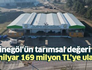 İnegöl’ün Tarımsal Değeri 4 Milyar 169 Milyon Tl’ye Ulaştı!