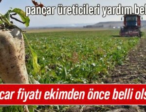 Üreticiler Yardım Bekliyor: “Pancar Fiyatı Ekimden Önce Belli Olsun!”