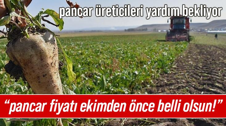 Üreticiler Yardım Bekliyor: “Pancar Fiyatı Ekimden Önce Belli Olsun!”