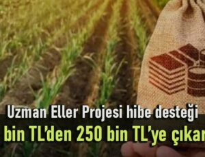 Uzman Eller Projesi Hibe Desteği 100 Bin Tl’den 250 Bin Tl’ye Çıkarıldı