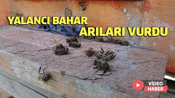 Yalancı Bahar Arıları Vurdu