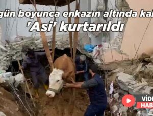 15 Gün Boyunca Enkazın Altında Kalan ‘Asi’ Kurtarıldı