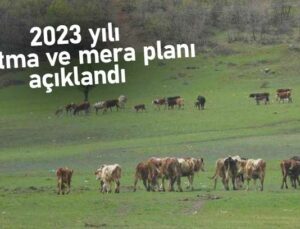 2023 Yılı Otlatma Ve Mera Planı Açıklandı