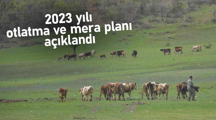 2023 Yılı Otlatma Ve Mera Planı Açıklandı