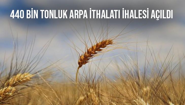 440 Bin Tonluk Arpa Ithalatı Ihalesi Açıldı