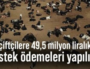 Çiftçilere 49,5 Milyon Liralık Destek Ödemeleri Yapılıyor