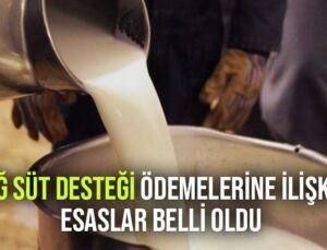 Çiğ Süt Desteği Ödemelerine Ilişkin Esaslar Belli Oldu