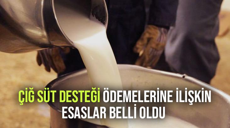 Çiğ Süt Desteği Ödemelerine Ilişkin Esaslar Belli Oldu