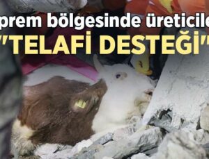 Deprem Bölgesinde Üreticilere “Telafi Desteği”