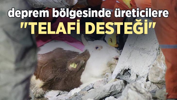 Deprem Bölgesinde Üreticilere “Telafi Desteği”