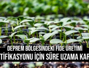 Deprem Bölgesindeki Fide Üretimi Sertifikasyonu Için Süre Uzama Kararı