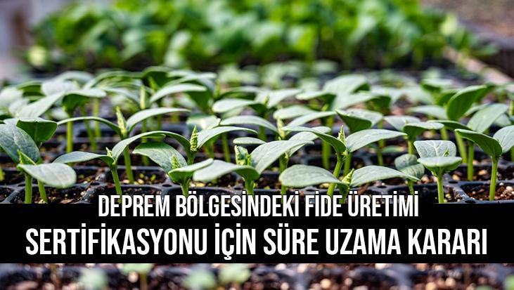 Deprem Bölgesindeki Fide Üretimi Sertifikasyonu Için Süre Uzama Kararı