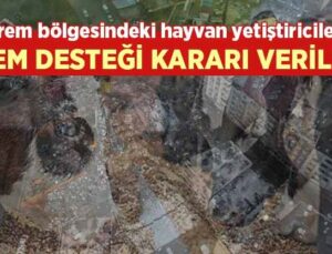 Deprem Bölgesindeki Hayvan Yetiştiricilerine Yem Desteği Kararı Verildi