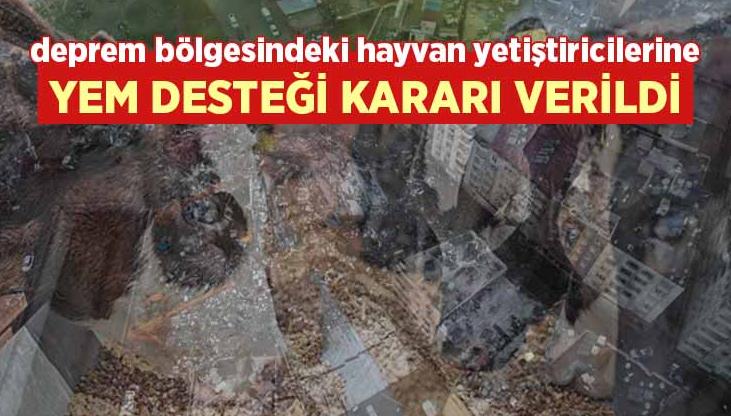 Deprem Bölgesindeki Hayvan Yetiştiricilerine Yem Desteği Kararı Verildi