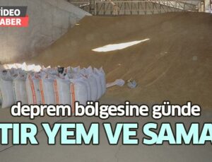 Deprem Bölgesine Günde 2 Tır Yem Ve Saman