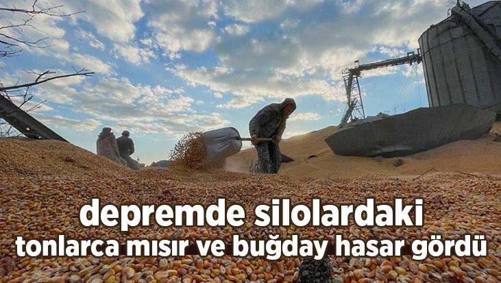 Depremde Silolardaki Tonlarca Mısır Ve Buğday Hasar Gördü