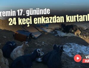 Depremin 17. Gününde 24 Keçi Enkazdan Kurtarıldı