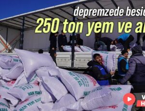 Depremzede Besicilere 250 Ton Yem Desteği