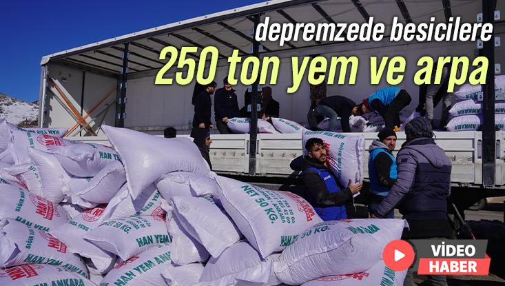 Depremzede Besicilere 250 Ton Yem Desteği