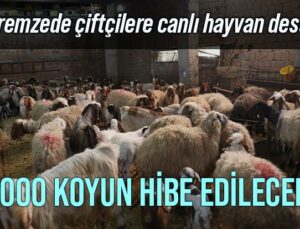 Depremzede Çiftçilere Canlı Hayvan Desteği