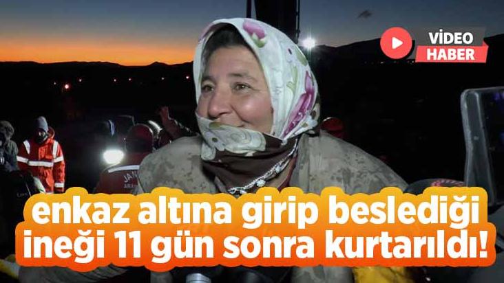 Enkaz Altına Girip Beslediği Ineği 11 Gün Sonra Kurtarıldı