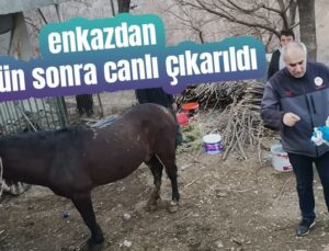 Enkazdan 21 Gün Sonra Canlı Çıkarıldı